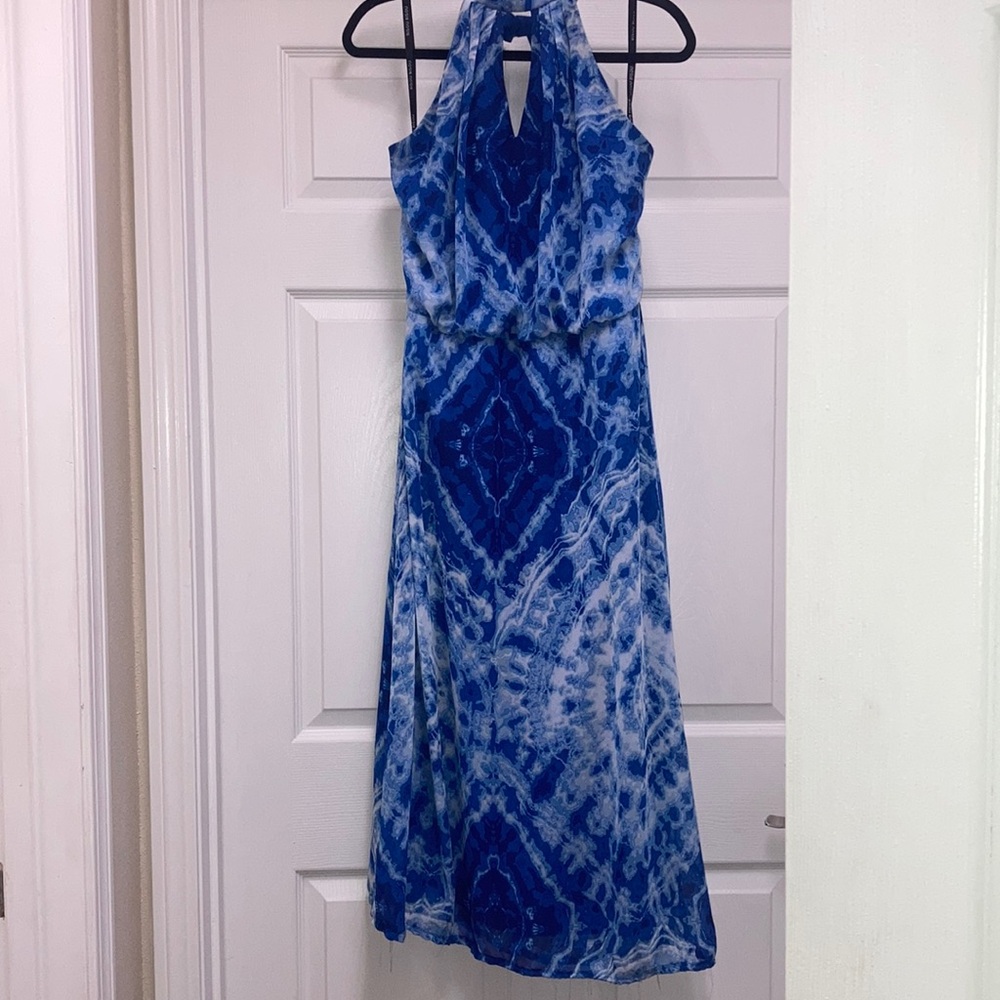 Bisou Bisou Maxi Dress